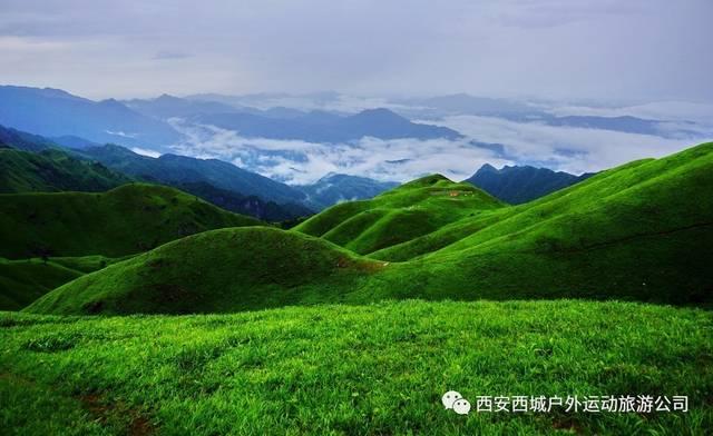 近期上市的五款新款手机